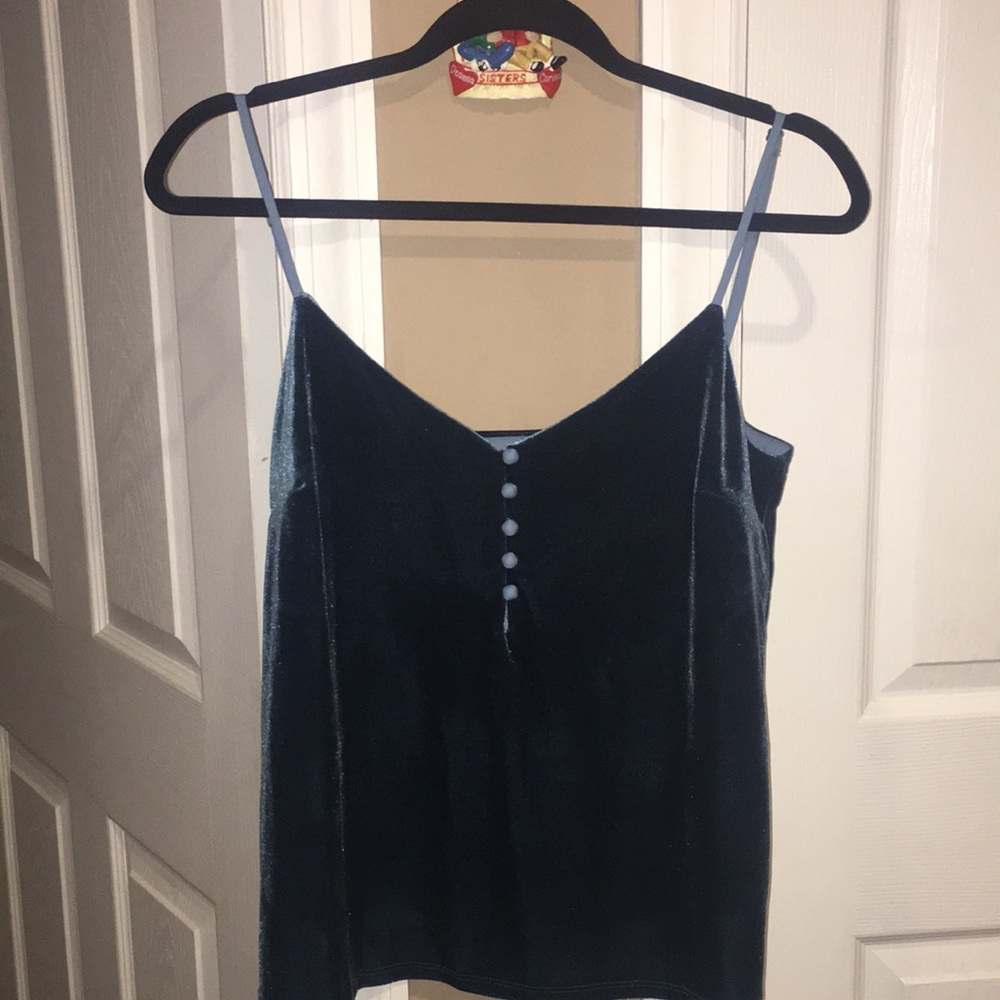 Velvet blue button top